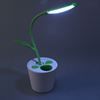 Picture of LEMONDA Sapling Pen Holder Touchable LED Desk Lamp with 3 Brightness Eye-protective - Green