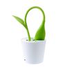 Picture of LEMONDA Sapling Pen Holder Touchable LED Desk Lamp with 3 Brightness Eye-protective - Green